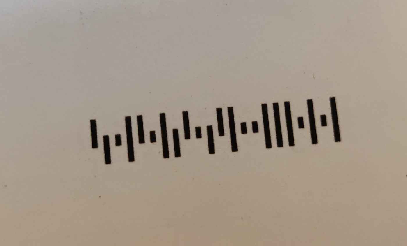 Photo of source that inspired me - a kind of barcode where each line has different heights